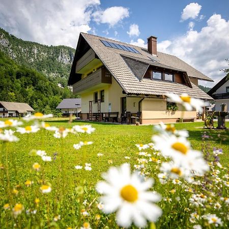 Apartments Darinka Mencinger بوينج المظهر الخارجي الصورة
